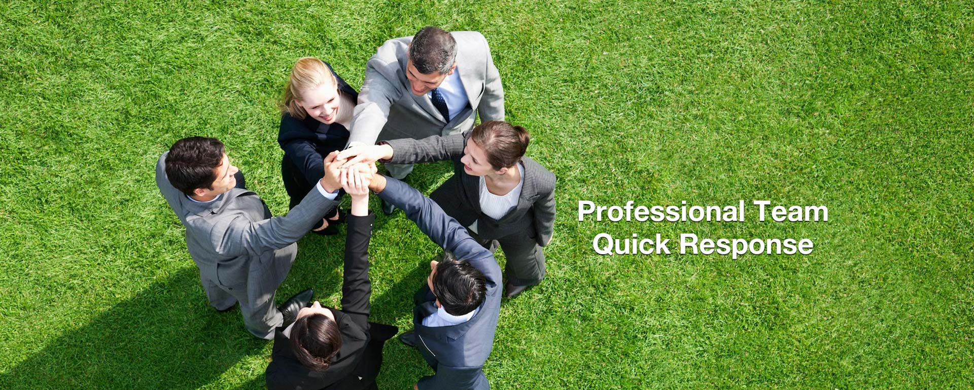 Professional Team Quick Response