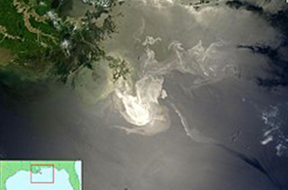 The gulf of Mexico oil spill in 2010