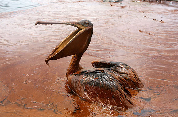 Supplied massive amounts of oil floating booms to the Spill in Gulf of Mexico